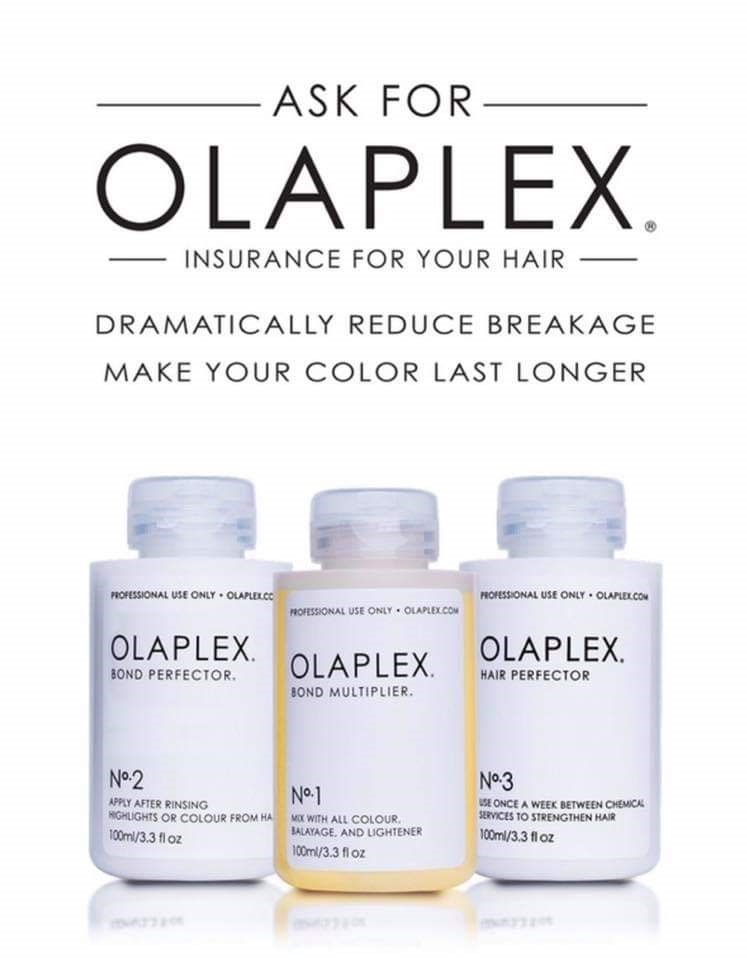 olapex blog1