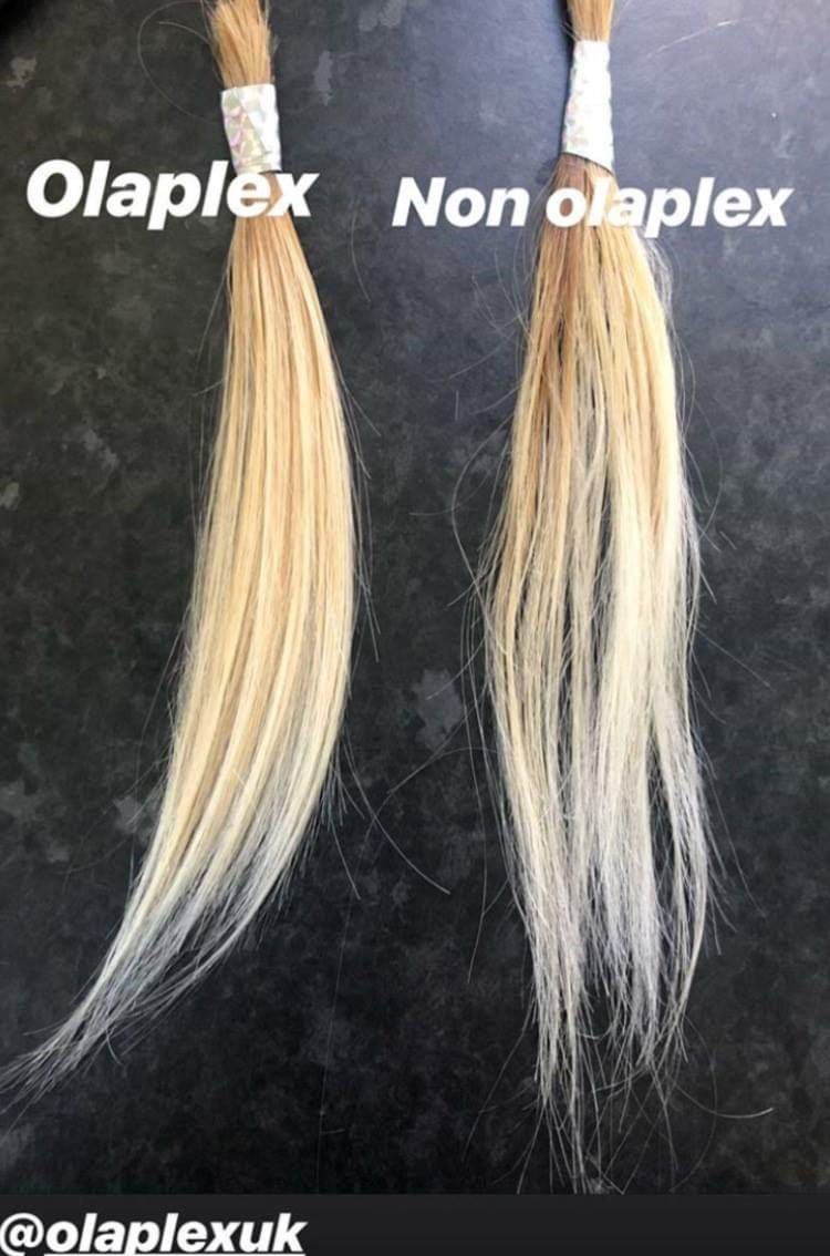 olaplex blog